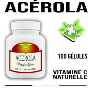 Acide Lipoique 100 mg 100