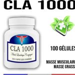 Gymnema sylvestris 400 mg 100