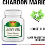 Desmodium Teinture Végétale
