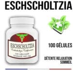 Valériane ES 500 mg 100