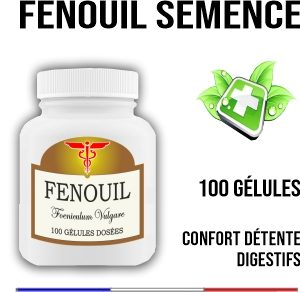 Fenouil semence 400 mg 100