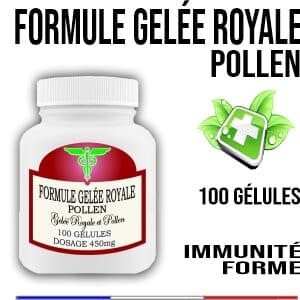 Formule Gelée Royale Pollen 450 mg 100