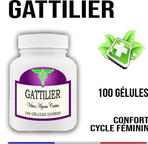 Gattilier semence 400 mg 100