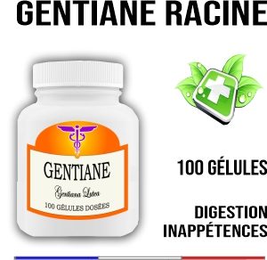 Gentiane racine 400 mg 100