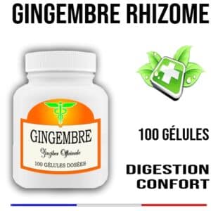 Gingembre Officinal 400 mg 100