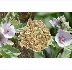 Guimauve Hochet – Hochet de