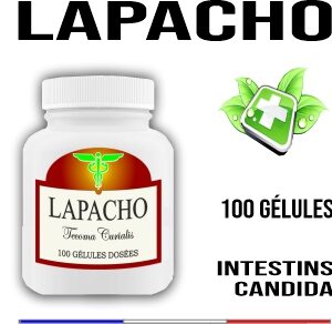 Lapacho 500 mg 100