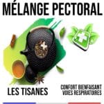 Bouillon blanc Fleurs Molène 100