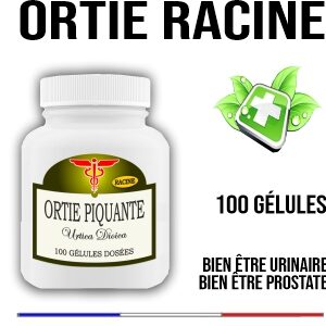 Ortie piquante racine 400 mg 100