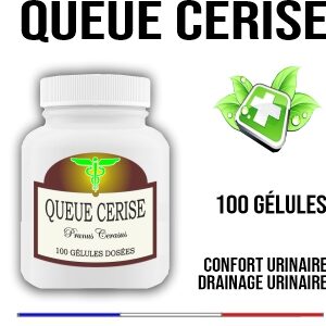 Queue de Cerise 400 mg 100