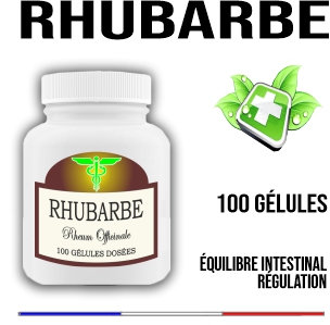 Rhubarbe racine 500 mg 100
