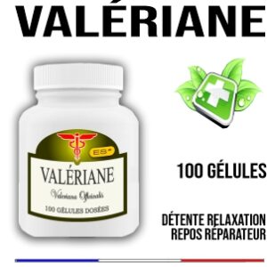 Valériane ES 500 mg 100