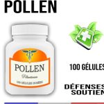 Formule Gelée Royale Pollen 450 mg 100