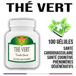Thé Vert Feuille  600 mg 100