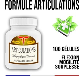 Formule Articulations  FAR 100