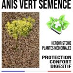 La bonne digestion, le bon transit