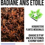 La bonne digestion, le bon transit