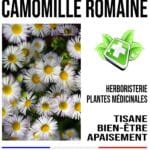Julep CaCO3 Croix Blanche 110 grammes – Bébé – Maman
