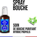 Propolis Teinture Végétale