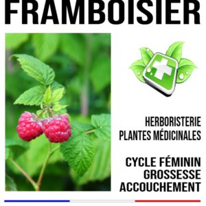 Framboisier feuille 100