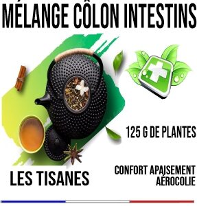 Intestin  Mélange de Plantes 170