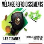 Aromathérapie Formule Refroidissements GR 811 60