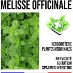 Guimauve racine 350 mg 100