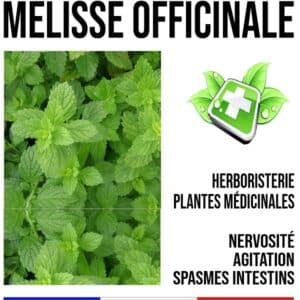 Mélisse Officinale Feuille 100