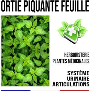 Ortie piquante feuille 150