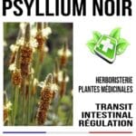 Transit Mélange de Plantes 170