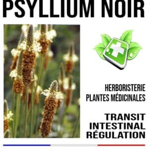 Psyllium Noir semence 250