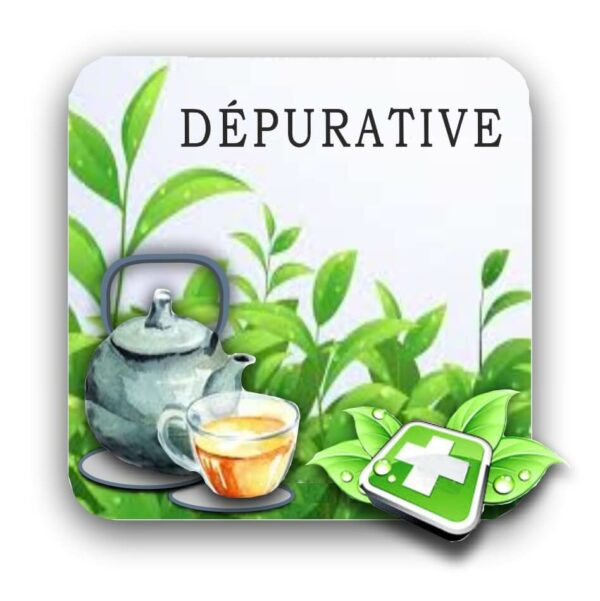 Dépuratif Mélange de Plantes 170