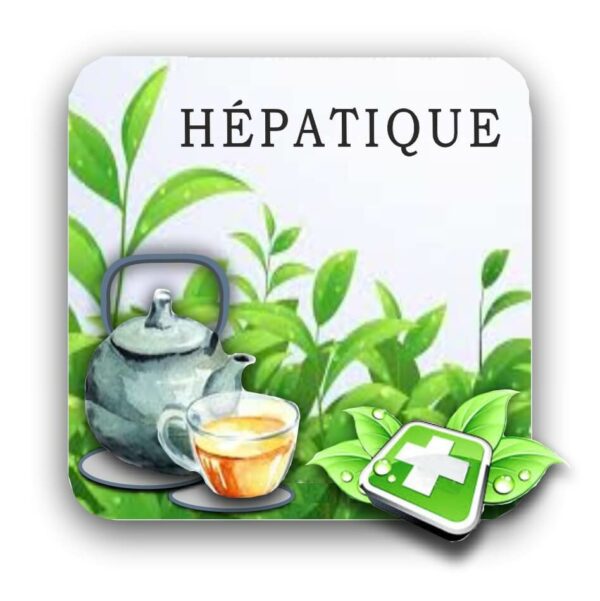 Mélange Hépatique 170