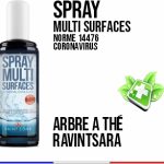 SeptiMains Gel Hydroalcoolique Arbre à Thé Ravintsara