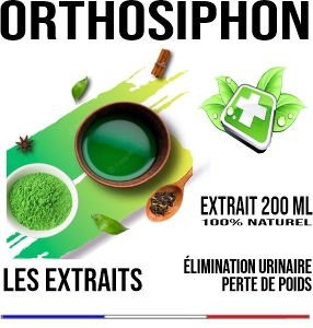 Orthosiphon Teinture Végétale