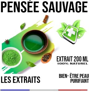 Pensée sauvage Teinture Végétale