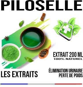 Piloselle Teinture Végétale