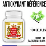 Sérum Hyaluronique Q10 4KST2 Exception
