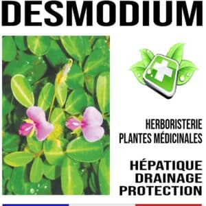Desmodium Feuille 100