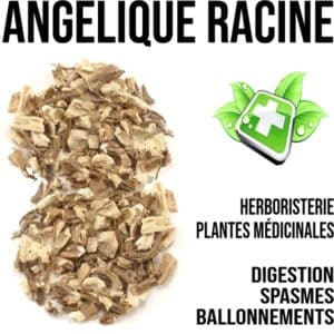 Astragale racine 100