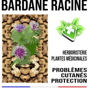 Bardane racine 200