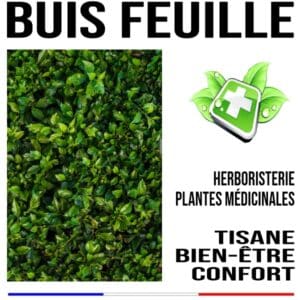 Buis Feuille 150