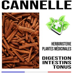 Cannelle écorce 200