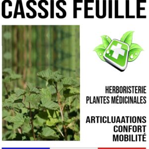 Cassis feuille 150