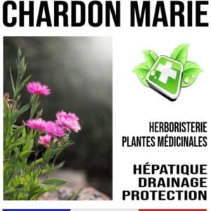 Chardon Marie Plante 100