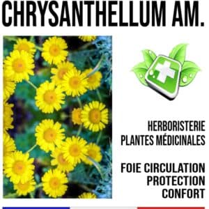 Chrysanthellum Americanum Plante 200