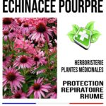 Actualité sur les