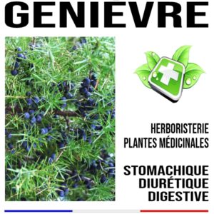 Genièvre baie 150