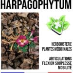 Aromathérapie Formule Douleurs DO 810   60