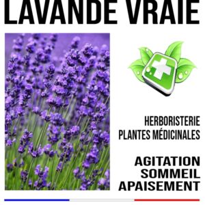 Lavande fleur 100